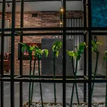 Mantra Suite&rooms Nocleg ze śniadaniem 4*
